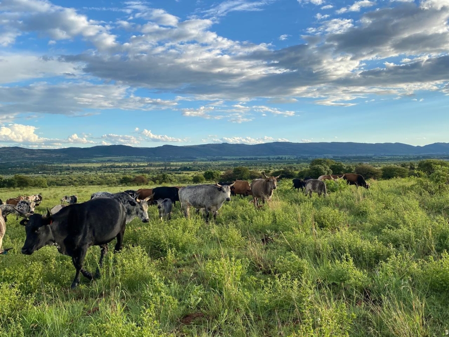 6 Bedroom Property for Sale in Remhoogte AH North West